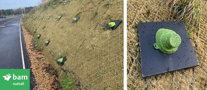 silicone&sustainability_square_2.jpg