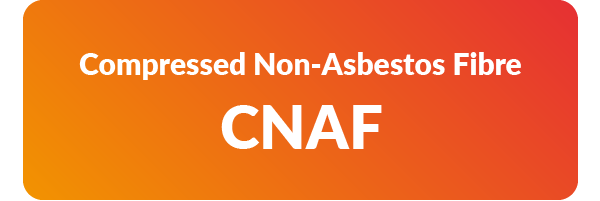 SBR_CNAF